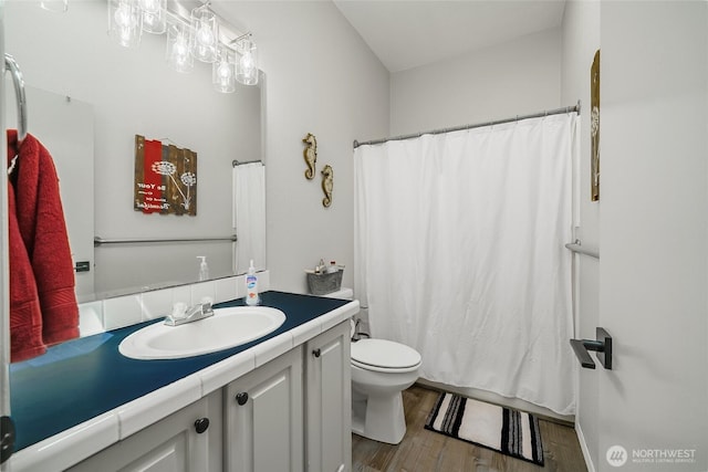 10419 Sandridge Rd, Long Beach, WA 98631 - bathroom with vanity, wood finished floors, and curtained shower