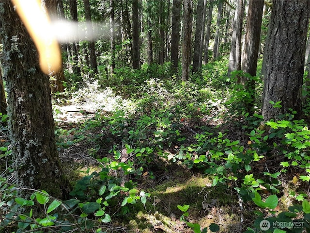 197 Cascade River Rd, Marblemount, WA 98267