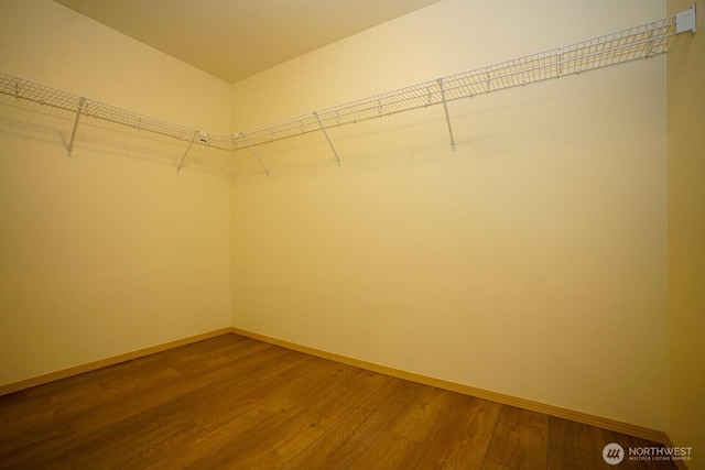 1031 N State St Unit 402, Bellingham, WA 98226 - spacious closet with dark wood-style floors
