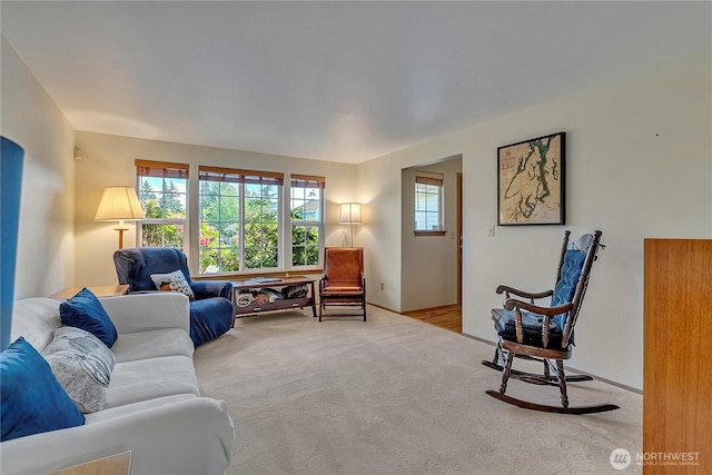 1102 SW 348th Pl, Federal Way, WA 98023 - carpeted living room with baseboards