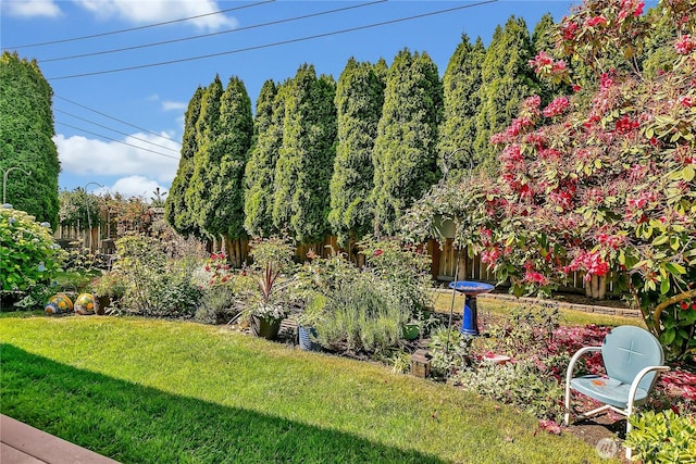 1102 SW 348th Pl, Federal Way, WA 98023 - view of yard