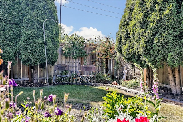 1102 SW 348th Pl, Federal Way, WA 98023 - view of yard