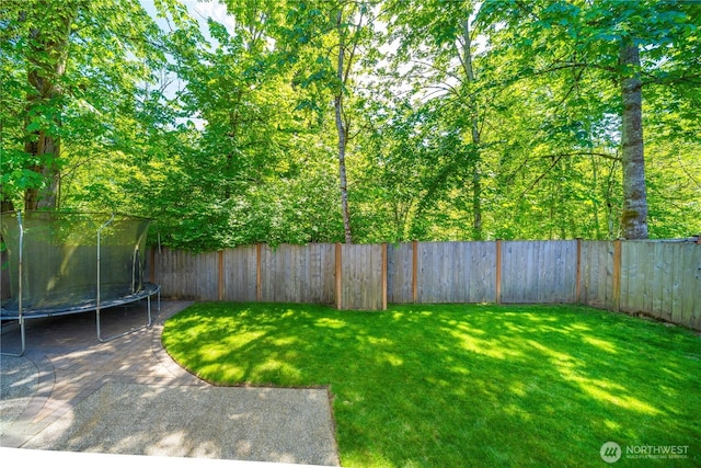 8010 167th Street Ct E, Puyallup, WA 98375 - view of yard with a trampoline