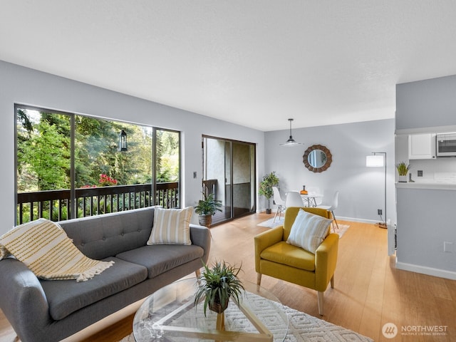18210 15th Ave NE Unit 101, Shoreline, WA 98155 - living room with light wood-style floors and baseboards