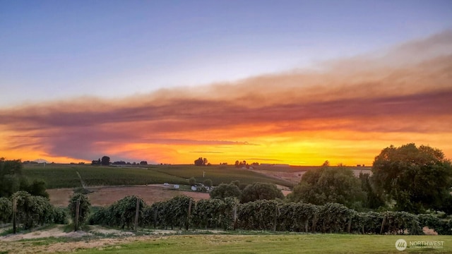 26602 N Rothrock Rd, Prosser, WA 99350 - view of community with a view of countryside