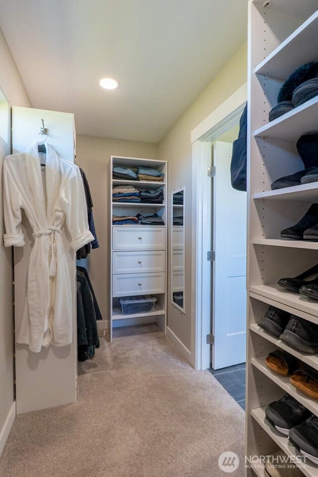 26602 N Rothrock Rd, Prosser, WA 99350 - spacious closet with carpet flooring