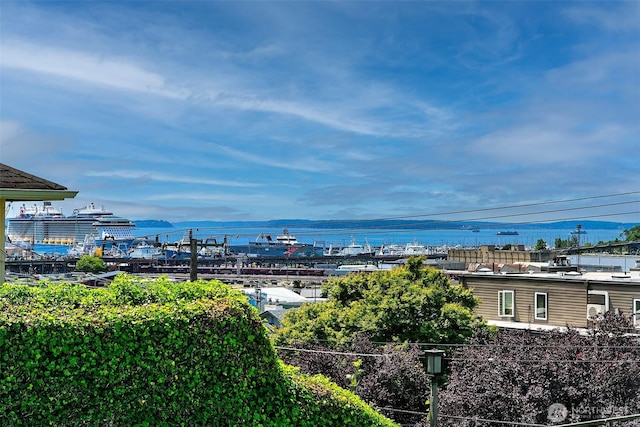 2253 Gilman Dr W Unit 207, Seattle, WA 98119 - water view