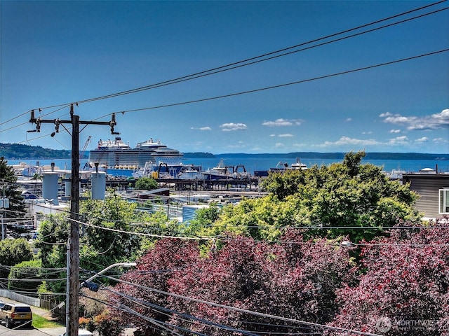 2253 Gilman Dr W Unit 207, Seattle, WA 98119 - water view