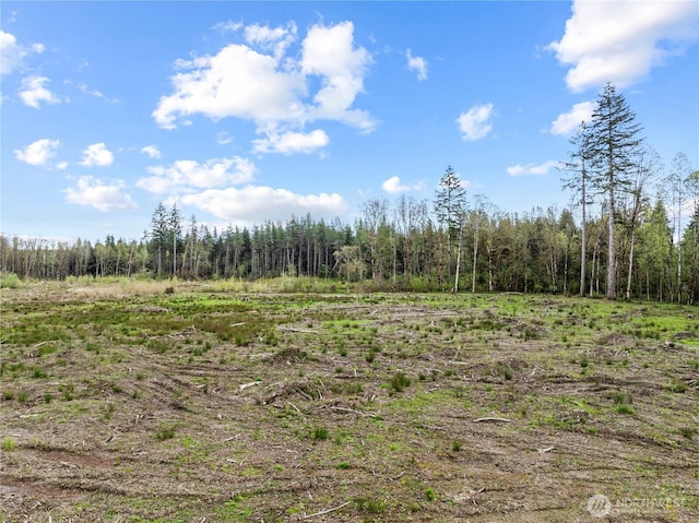 4949 Jackson Hwy N, Toledo, WA 98591 - photo 3