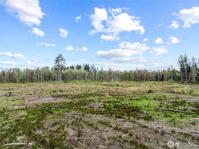 4949 Jackson Hwy N, Toledo, WA 98591 - photo 4