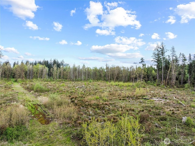 4949 Jackson Hwy N, Toledo, WA 98591 - photo 5