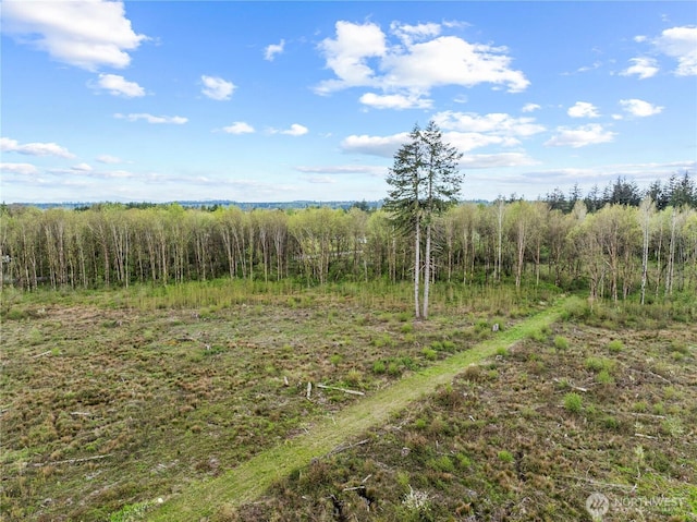 4949 Jackson Hwy N, Toledo, WA 98591 - photo 8