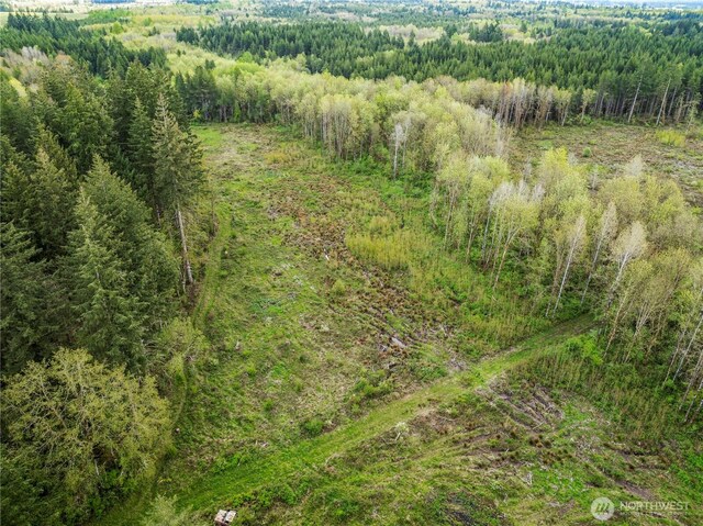 4949 Jackson Hwy N, Toledo, WA 98591 - photo 10