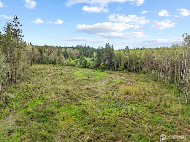 4949 Jackson Hwy N, Toledo, WA 98591 - photo 11