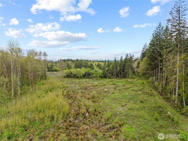 4949 Jackson Hwy N, Toledo, WA 98591 - photo 12