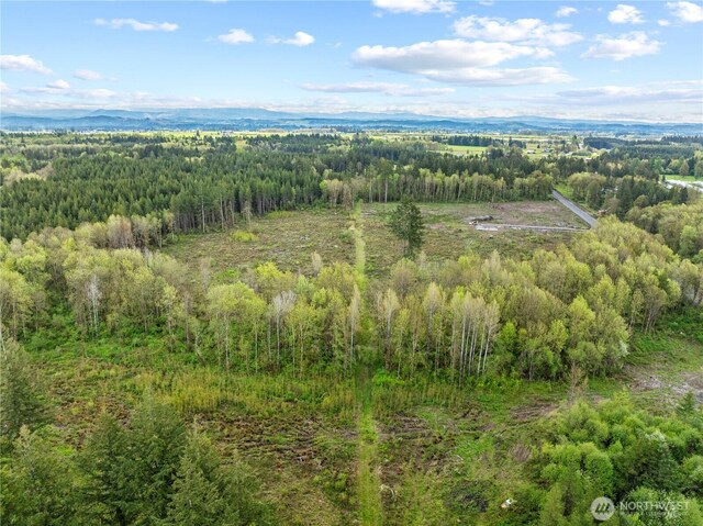 4949 Jackson Hwy N, Toledo, WA 98591 - photo 13