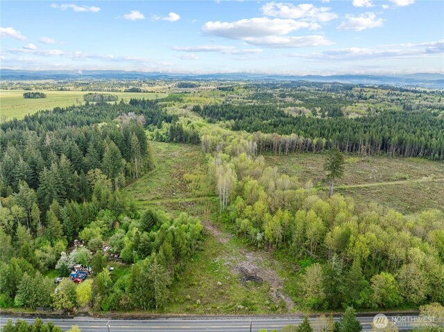 4949 Jackson Hwy N, Toledo, WA 98591 - photo 16