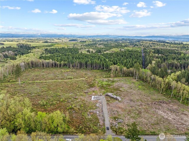 4949 Jackson Hwy N, Toledo, WA 98591 - photo 17