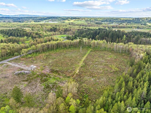 4949 Jackson Hwy N, Toledo, WA 98591 - photo 20
