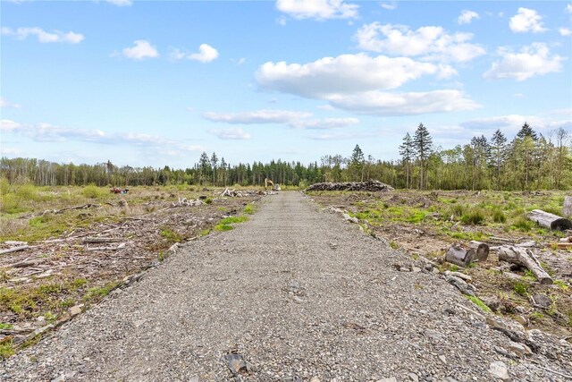 4949 Jackson Hwy N, Toledo, WA 98591 - photo 21