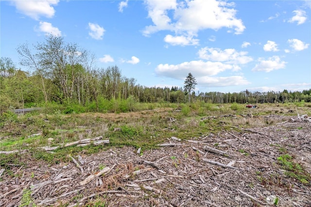 4949 Jackson Hwy N, Toledo, WA 98591 - photo 22