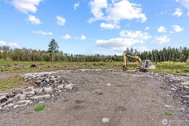 4949 Jackson Hwy N, Toledo, WA 98591 - photo 25