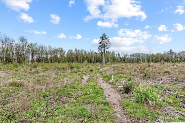 4949 Jackson Hwy N, Toledo, WA 98591 - photo 28