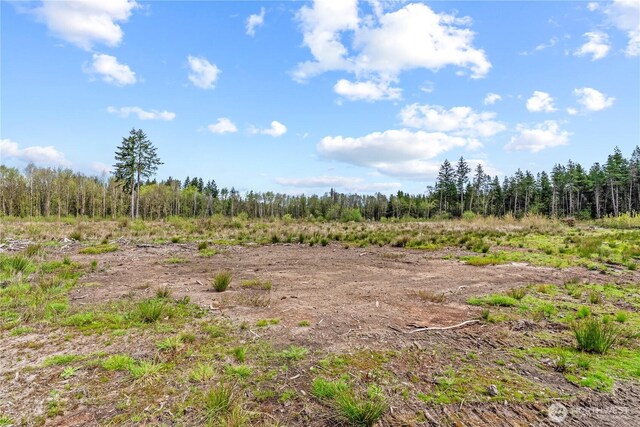 4949 Jackson Hwy N, Toledo, WA 98591 - photo 29