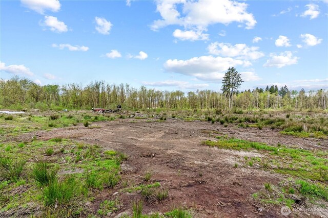 4949 Jackson Hwy N, Toledo, WA 98591 - photo 30