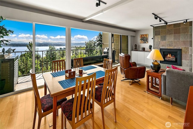 8005 Sand Point Way NE Unit A41, Seattle, WA 98115 - dining room with track lighting, light wood-style flooring, a tiled fireplace, and a water view