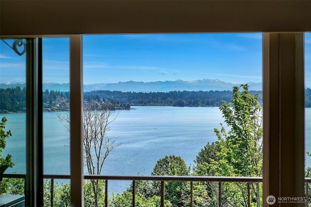 8005 Sand Point Way NE Unit A41, Seattle, WA 98115 - water view featuring a mountain backdrop and a forest
