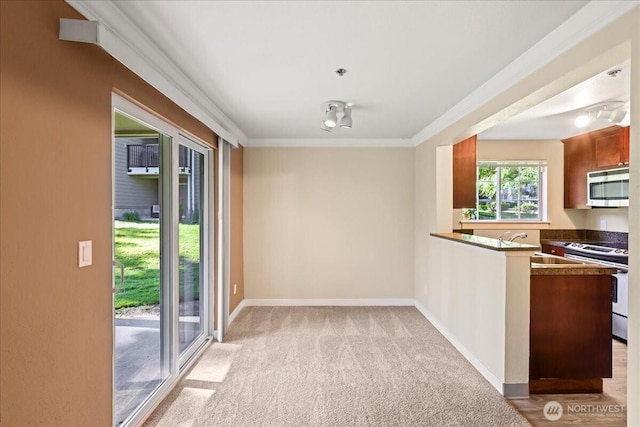 1822S 284th Ln Unit D-104, Federal Way, WA 98003 - kitchen with electric range, stainless steel microwave, ornamental molding, light colored carpet, and a peninsula