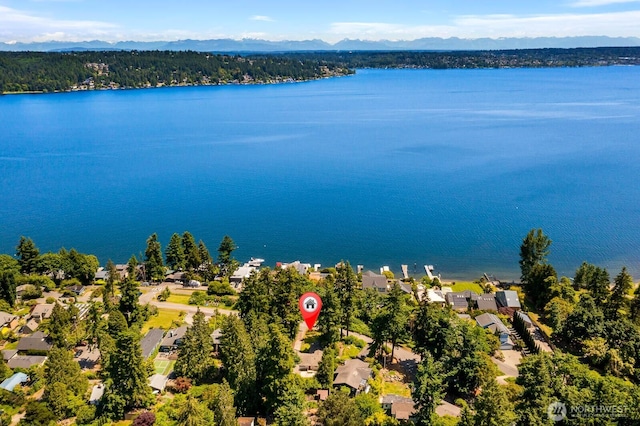 9539 Lake Shore Blvd NE, Seattle, WA 98115 - aerial view of residential area with a water and mountain view