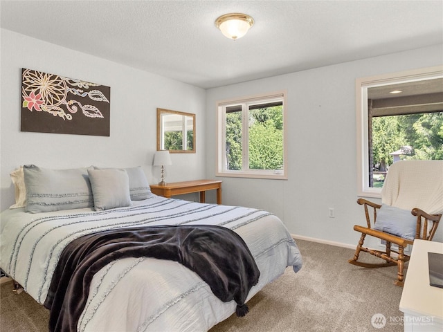 34214 102nd Ave S, Roy, WA 98580 - carpeted bedroom featuring multiple windows and baseboards