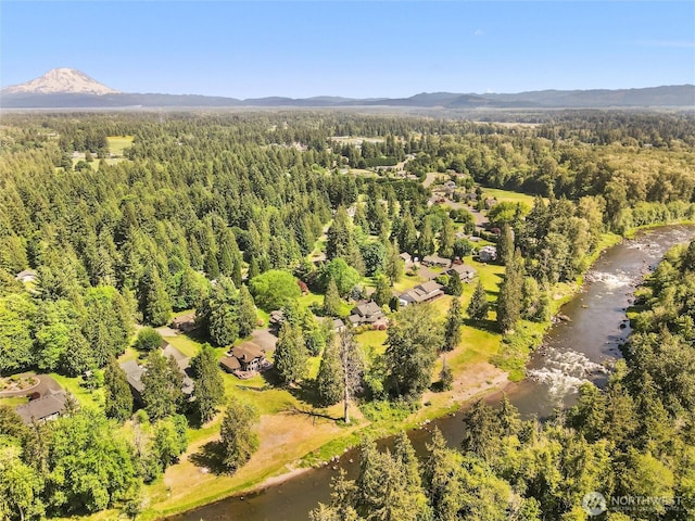 34214 102nd Ave S, Roy, WA 98580 - photo 39