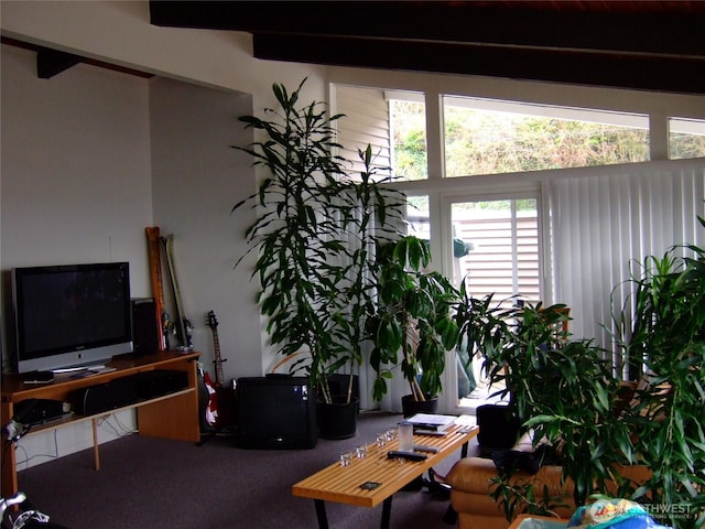 2513 13th Ave W, Seattle, WA 98119 - living room featuring carpet flooring and beam ceiling