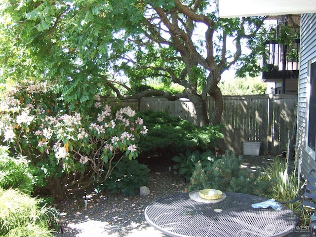 2513 13th Ave W, Seattle, WA 98119 - view of yard