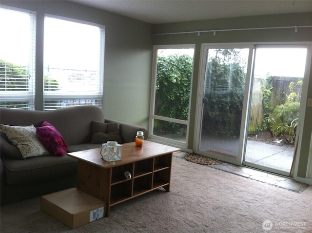 2513 13th Ave W, Seattle, WA 98119 - living area featuring carpet flooring