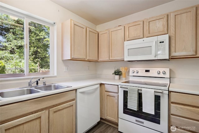 9810 23rd Ave SE, Everett, WA 98208 - photo 16