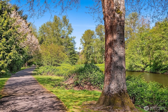 17432 Bothell Way NE Unit B302, Bothell, WA 98011 - surrounding community featuring a water view and a forest view