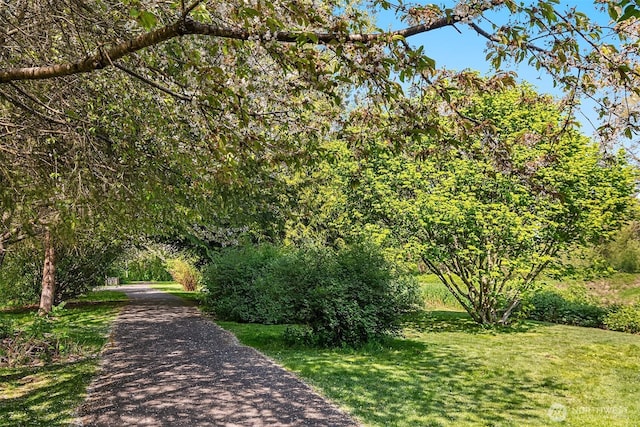 17432 Bothell Way NE Unit B302, Bothell, WA 98011 - view of property's community with a yard