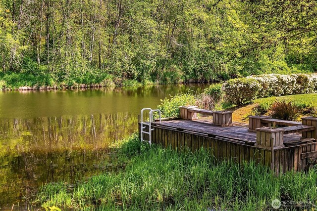 17432 Bothell Way NE Unit B302, Bothell, WA 98011 - dock with a water view and a view of trees