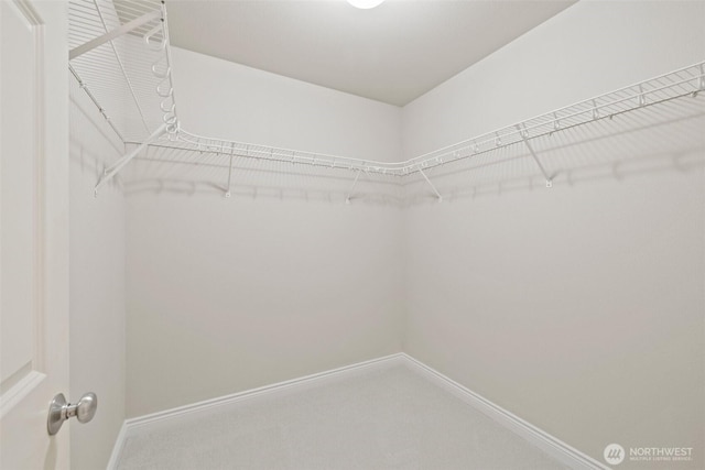 17432 Bothell Way NE Unit B302, Bothell, WA 98011 - spacious closet with carpet floors