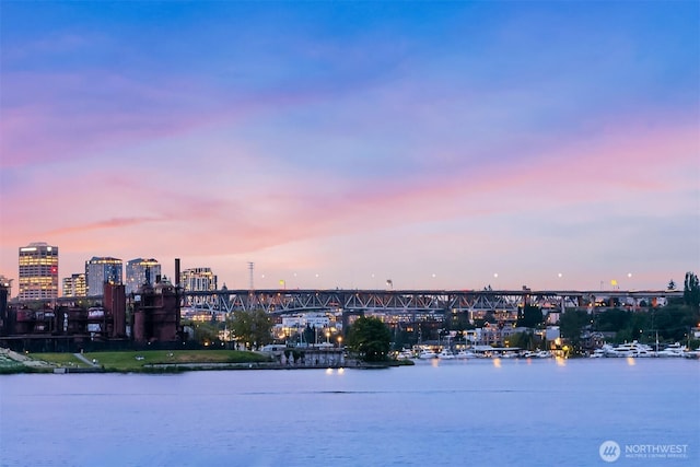 2420 Westlake Ave N Unit 11, Seattle, WA 98109 - water view