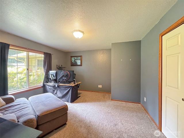 42 Charles Way, Sequim, WA 98382 - sitting room featuring carpet, a textured ceiling, and baseboards