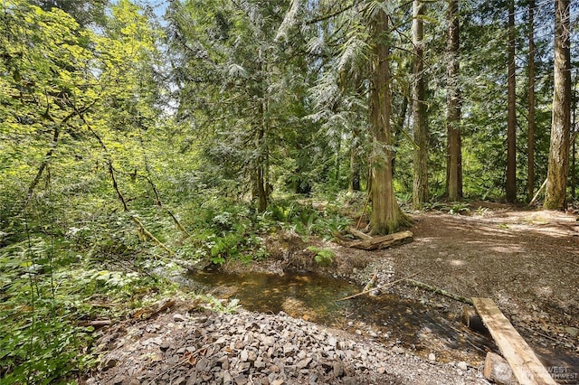 12925 206th Ave NE, Woodinville, WA 98077 - view of woods