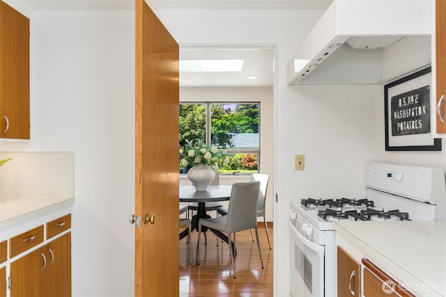 7008 25th Ave NE, Seattle, WA 98115 - kitchen featuring white range with gas stovetop, a skylight, premium range hood, brown cabinets, and light countertops