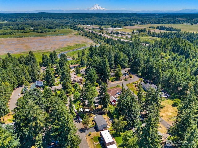9541 Joann Ave NE, Olympia, WA 98516 - aerial view of property's location featuring a forest