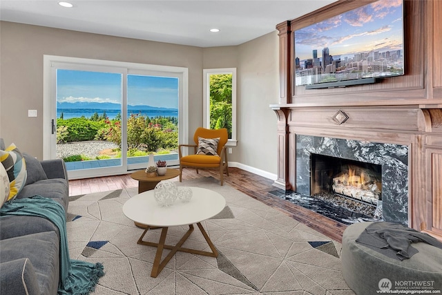 926 Olympic Ave, Edmonds, WA 98020 - living room featuring light wood-style flooring, a high end fireplace, and recessed lighting