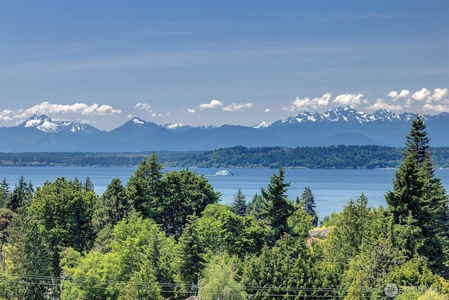 926 Olympic Ave, Edmonds, WA 98020 - mountain view with a heavily wooded area